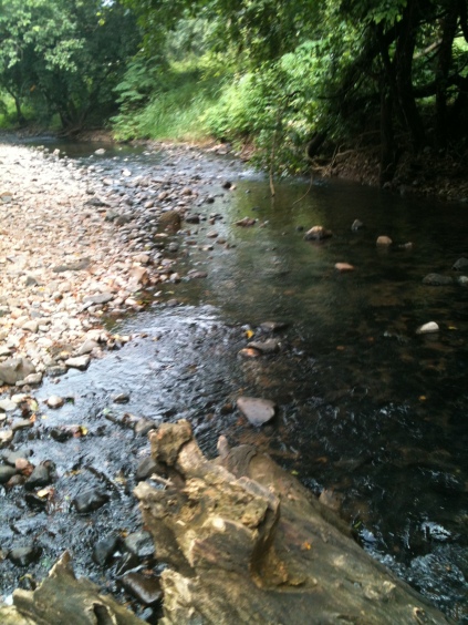 Streams such as these will keep meeting you on the way